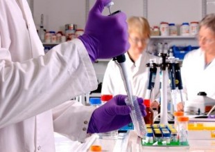 Investigación revela prueba molecular sirve para tratamiento cáncer de pulmón
